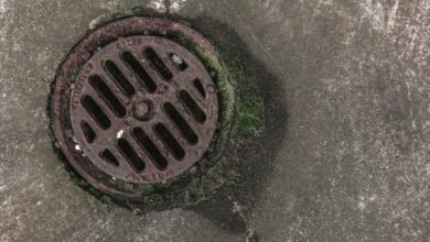 digital network growth strategy