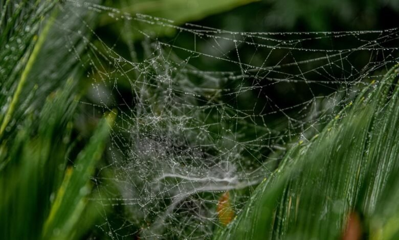 intelligent web performance metrics