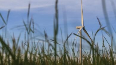 smart digital solutions growth