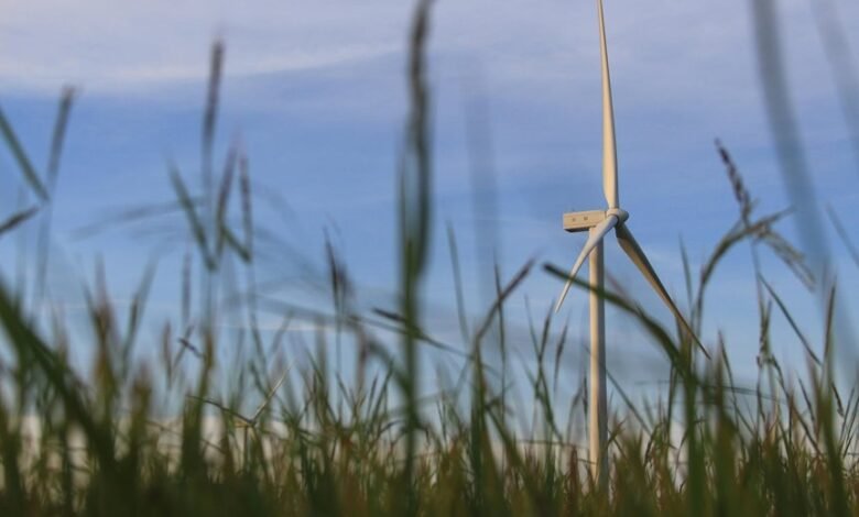 smart digital solutions growth